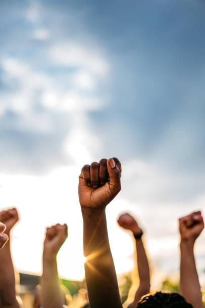 Navegue pela Categoria de DIRETOS HUMANOS