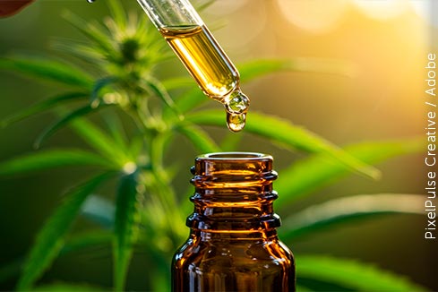 Os precedentes cíveis e penais do STJ sobre o uso medicinal da cannabis